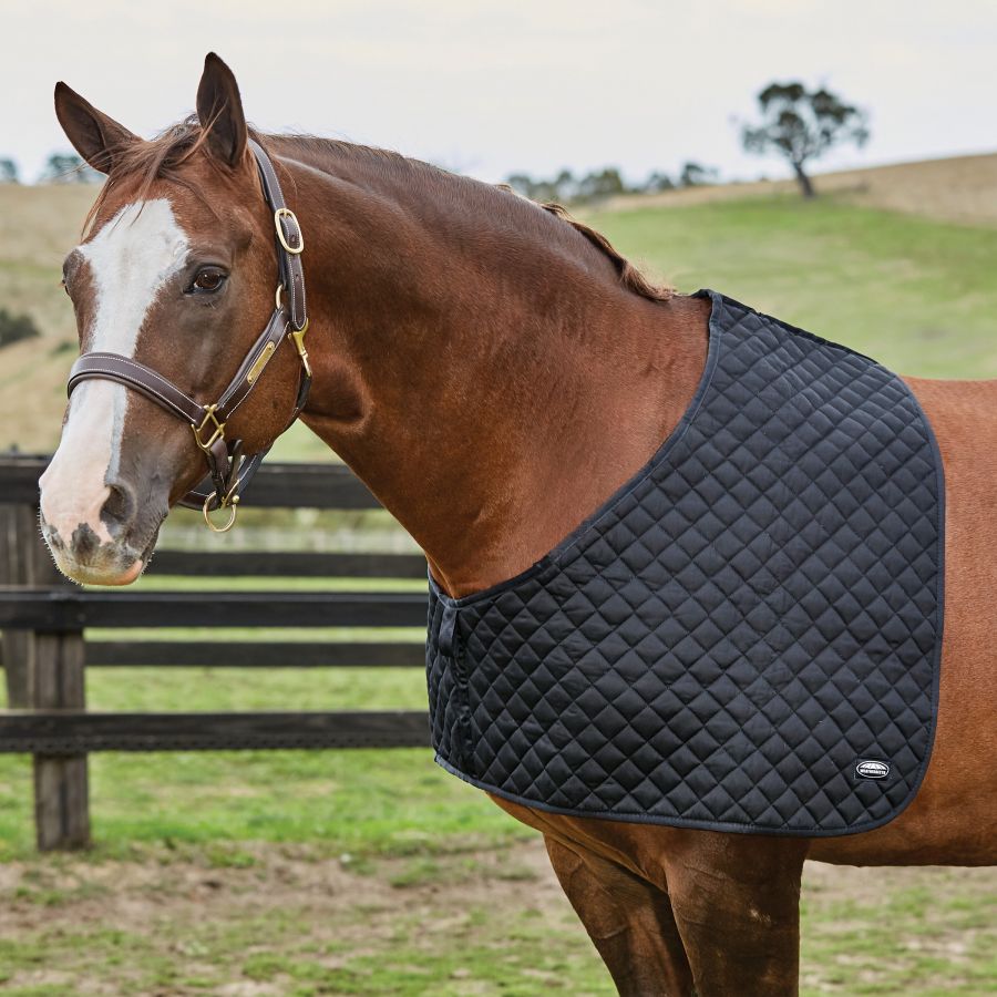 WeatherBeeta Deluxe Shoulder Guard - Navy