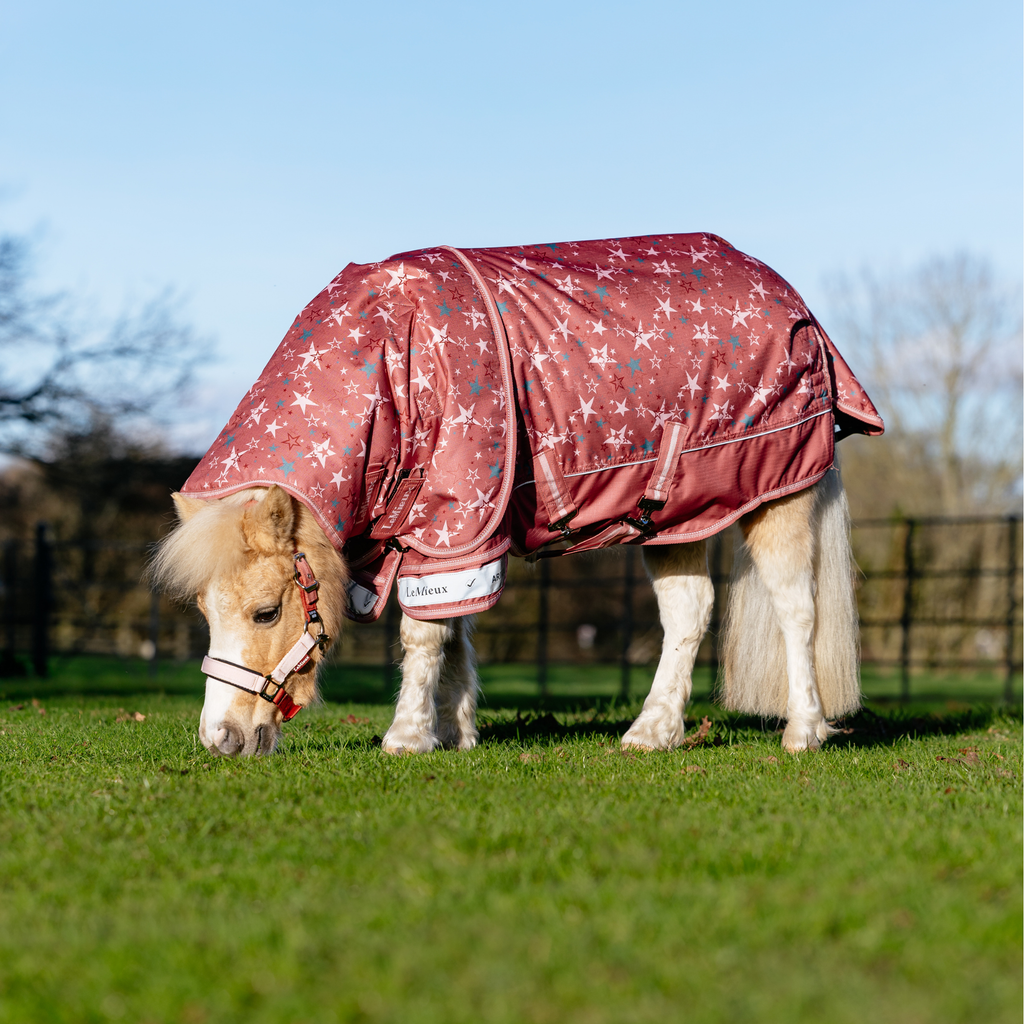 LeMieux Arika Star Turnout Rug 0g - Spiced Earth