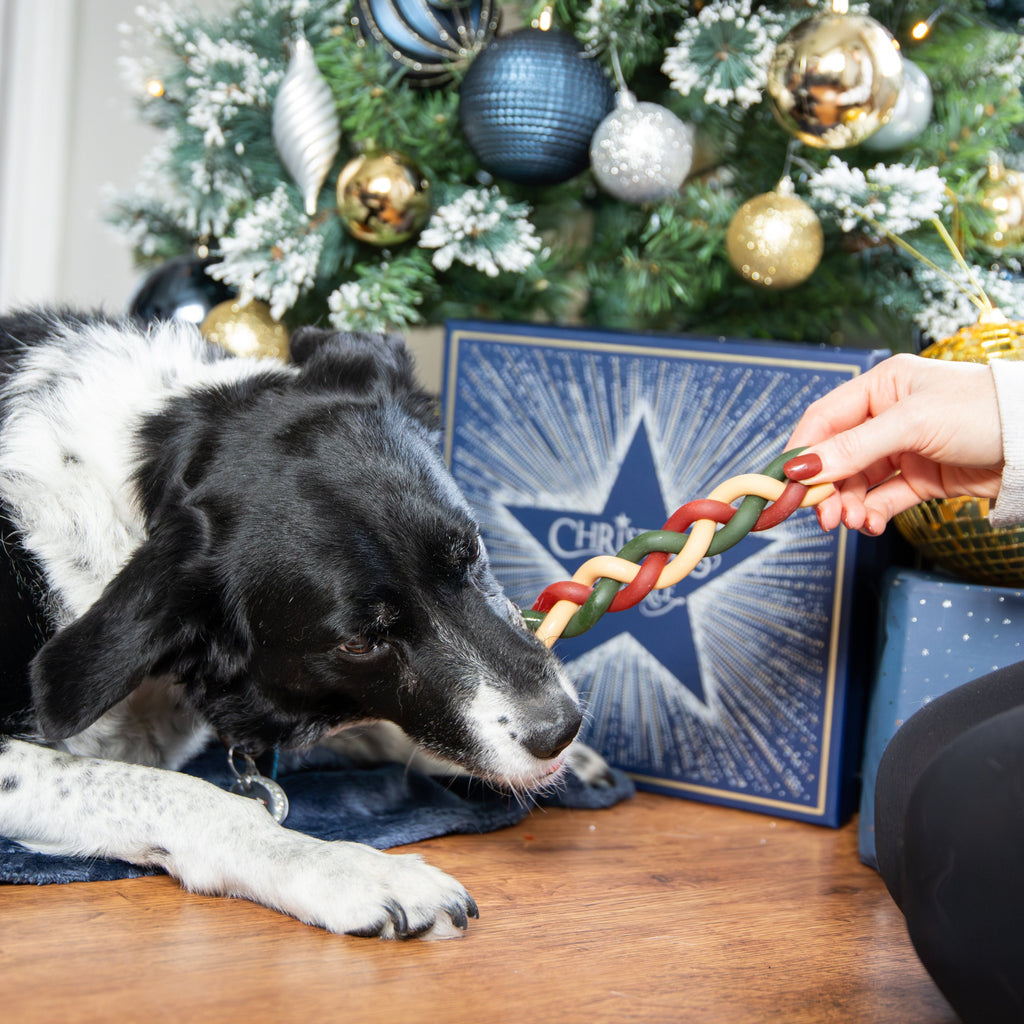 Rosewood Rawhide Free Gift Box