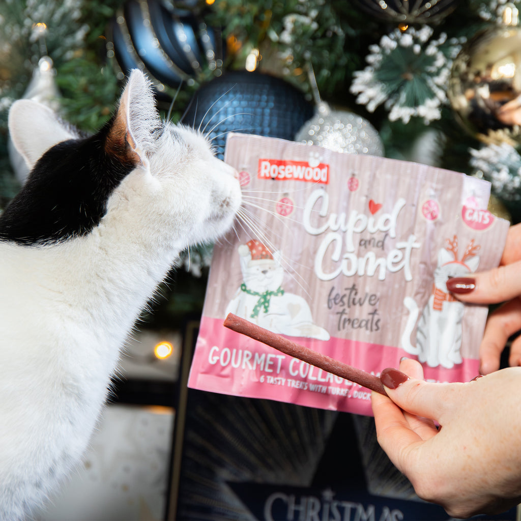 Rosewood Cat Collagen Festive Sticks - Duck and Turkey