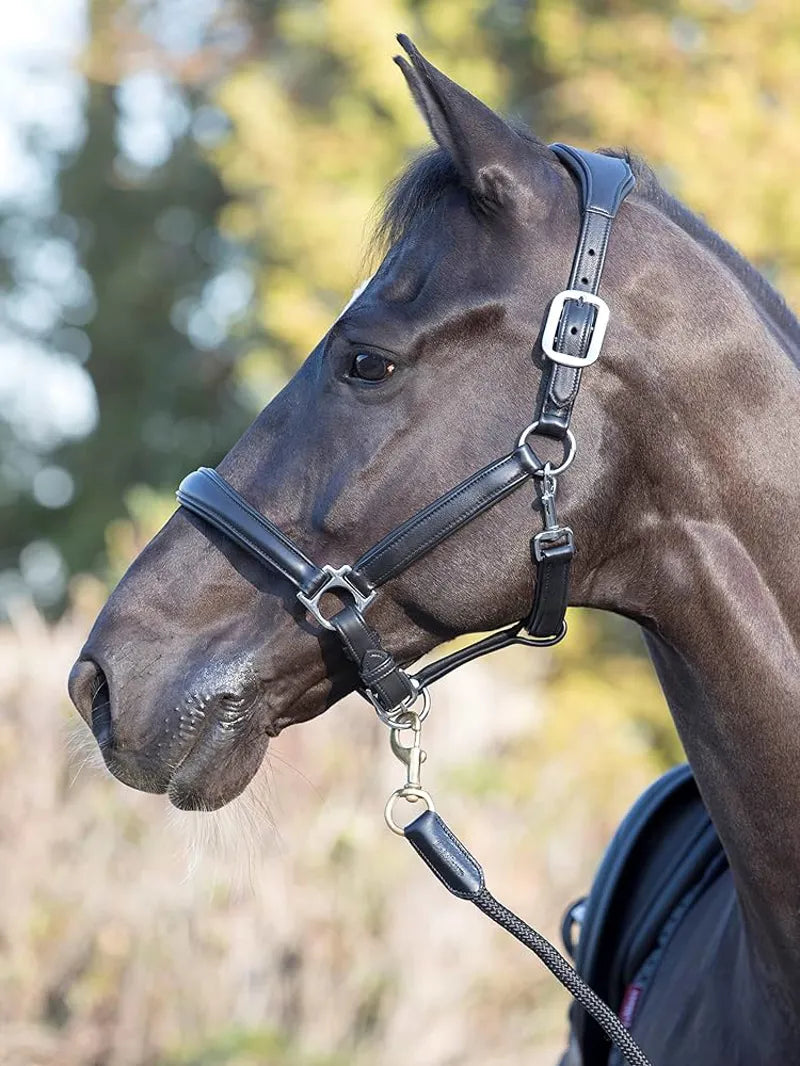 LeMieux Anatomic Headcollar - Black
