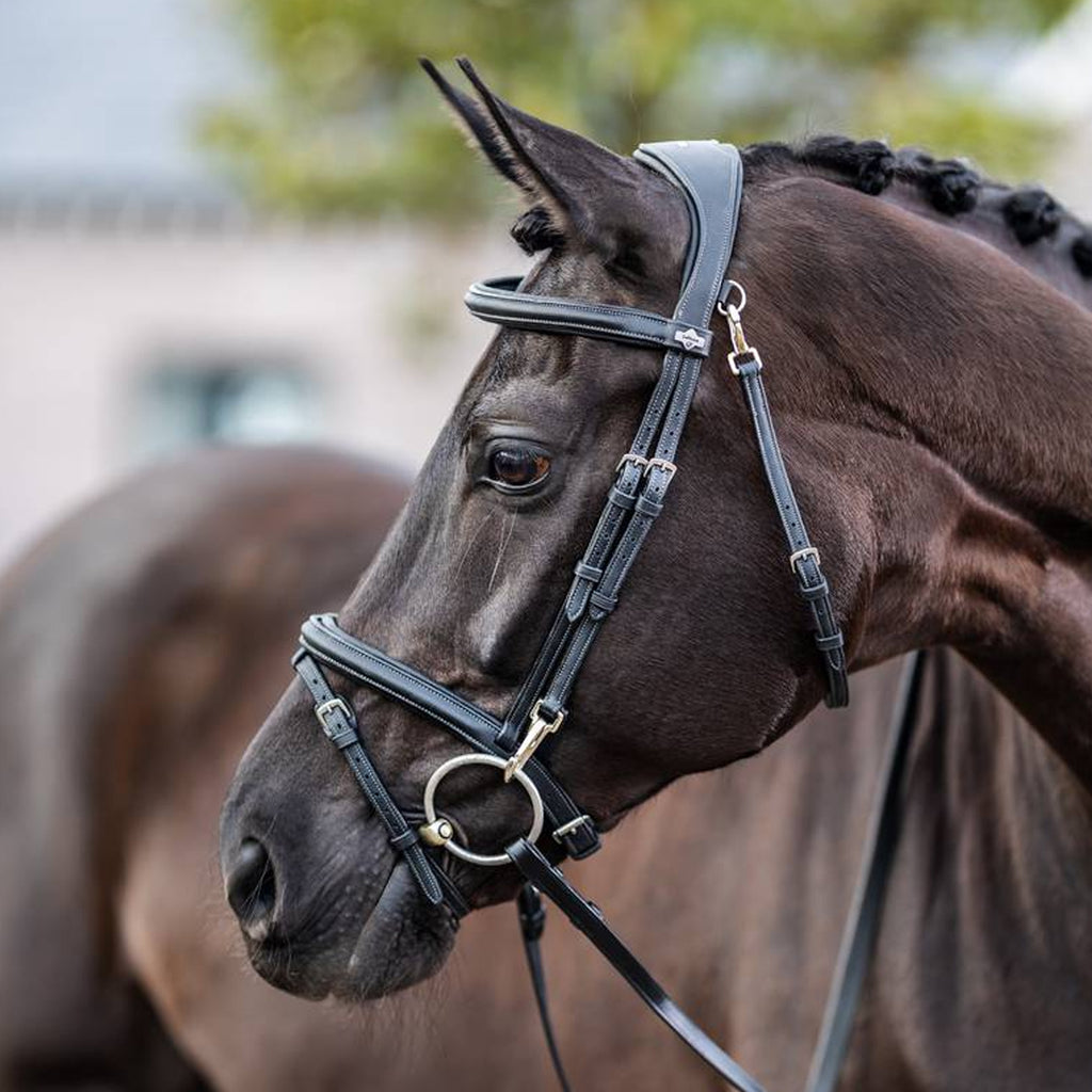 LeMieux Kudos Work Bridle - Black