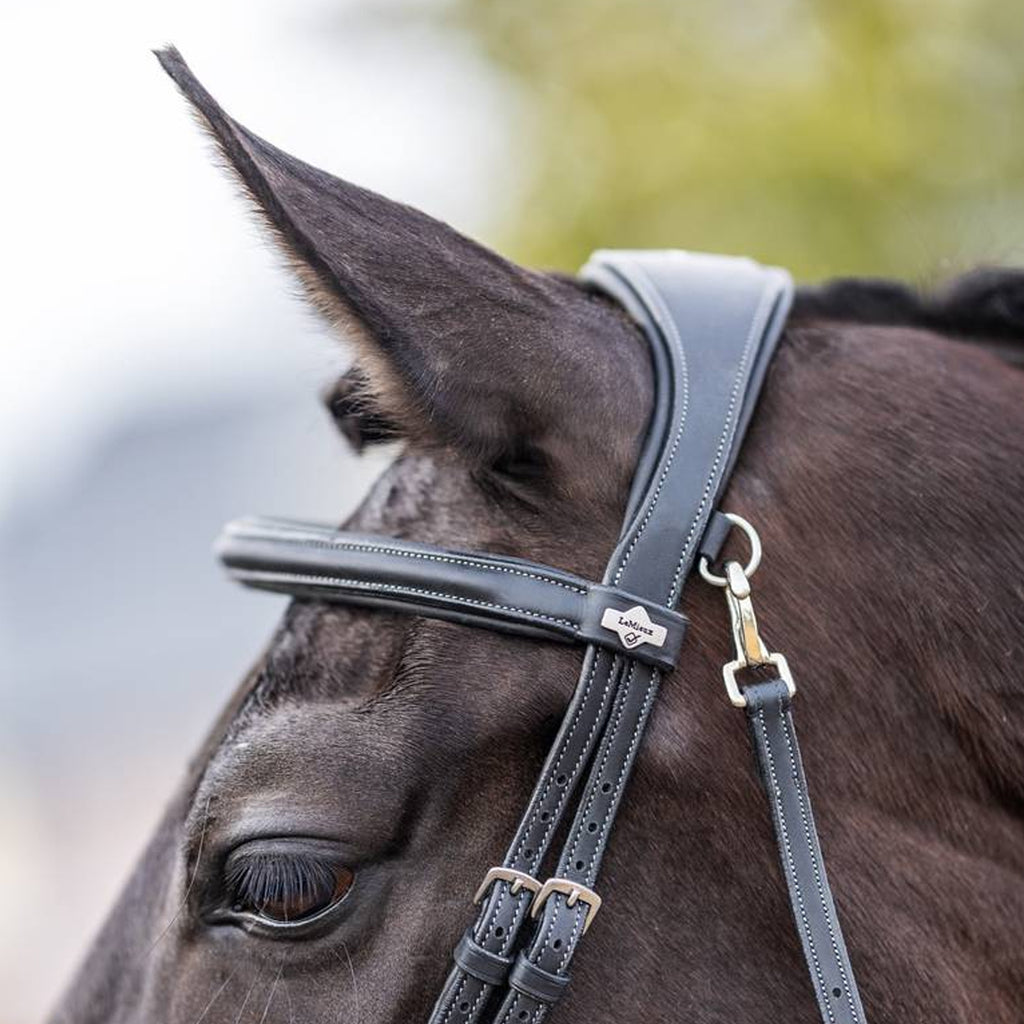 LeMieux Kudos Work Bridle - Black