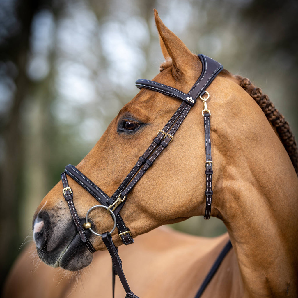 LeMieux Kudos Work Bridle - Brown