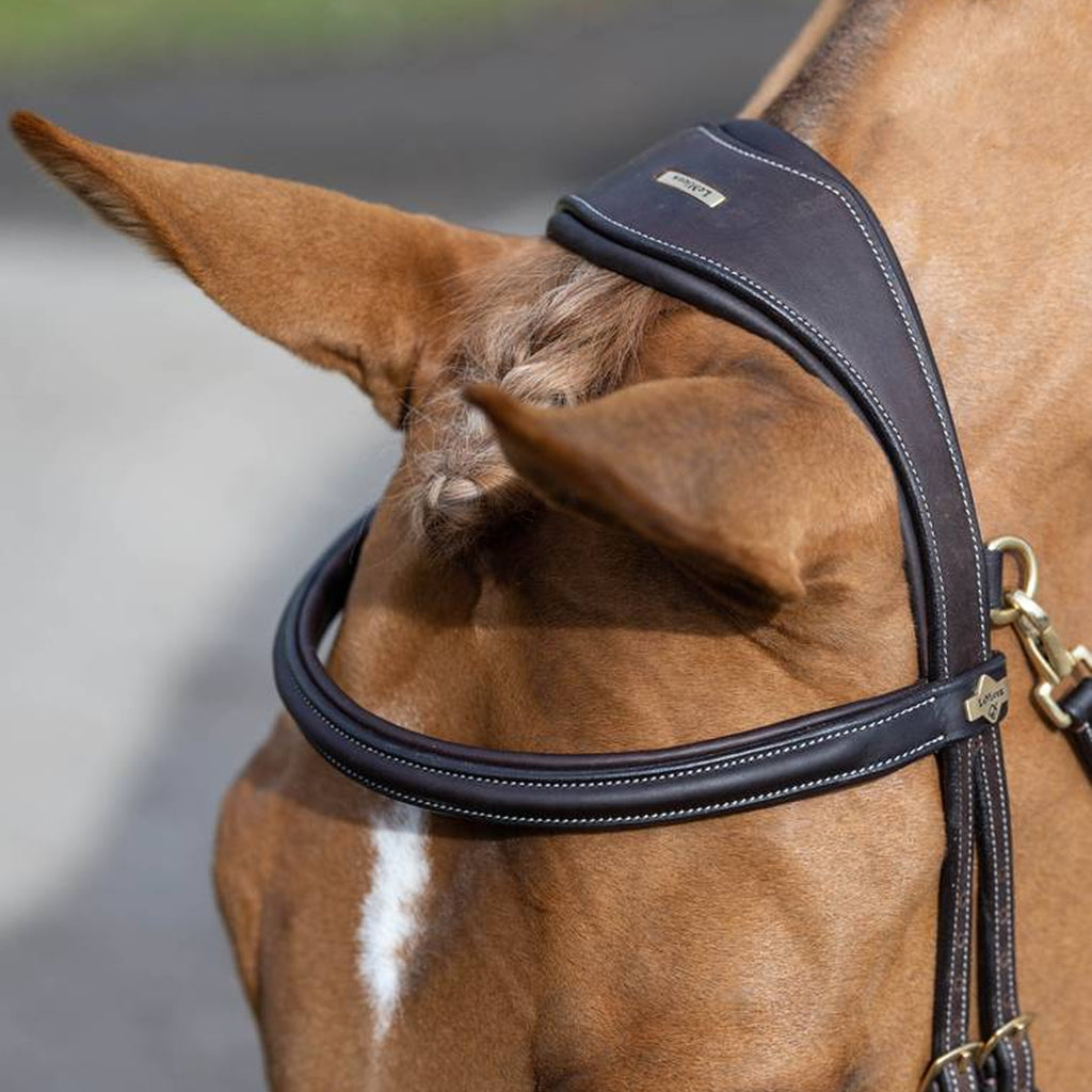 LeMieux Kudos Work Bridle - Brown