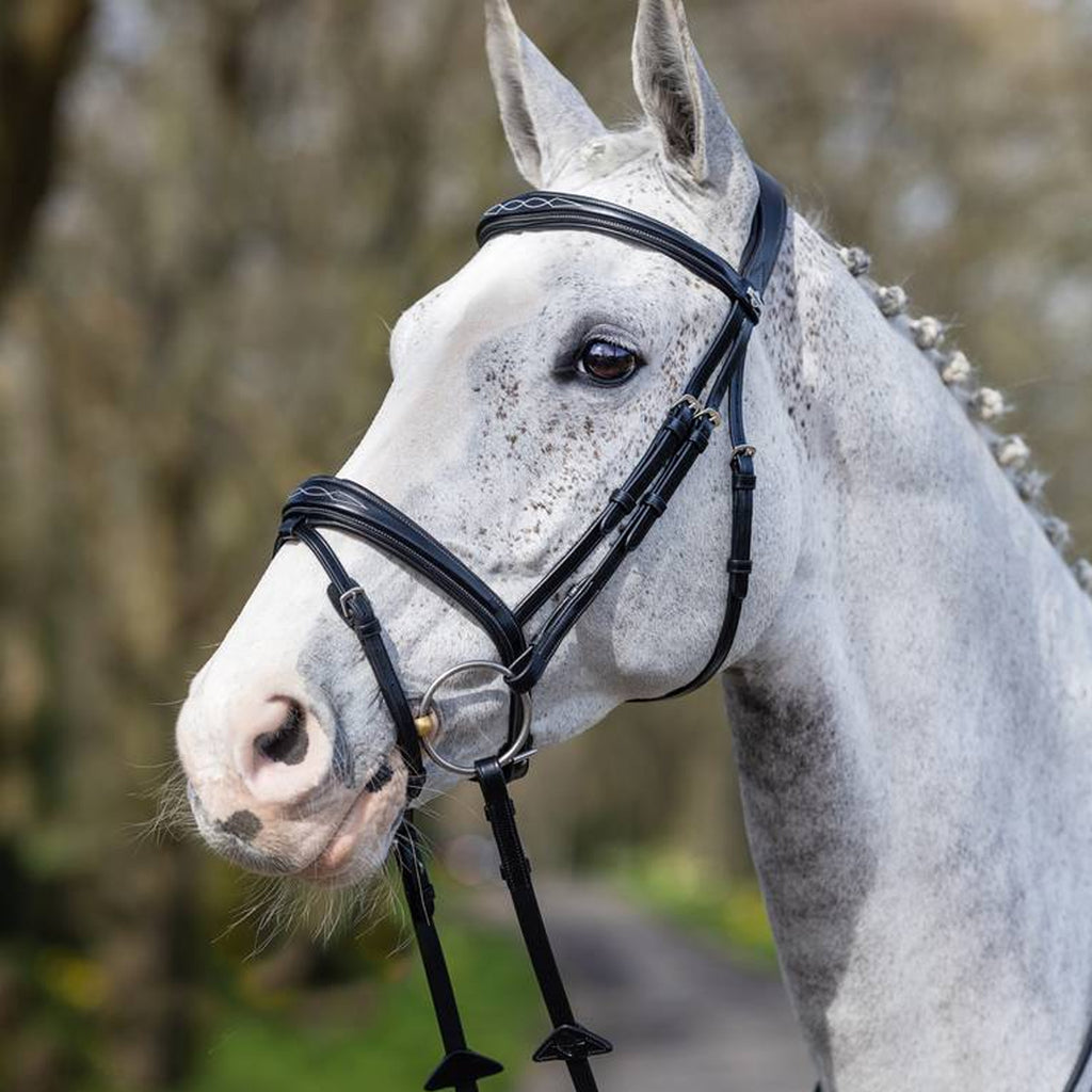 LeMieux Kudos Competition Flash Bridle - Black
