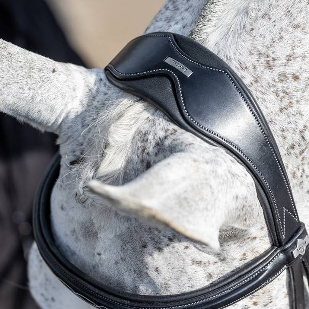 LeMieux Kudos Competition Flash Bridle - Black