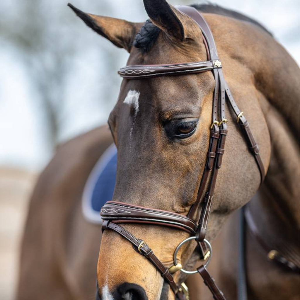 LeMieux Kudos Competition Flash Bridle - Havana