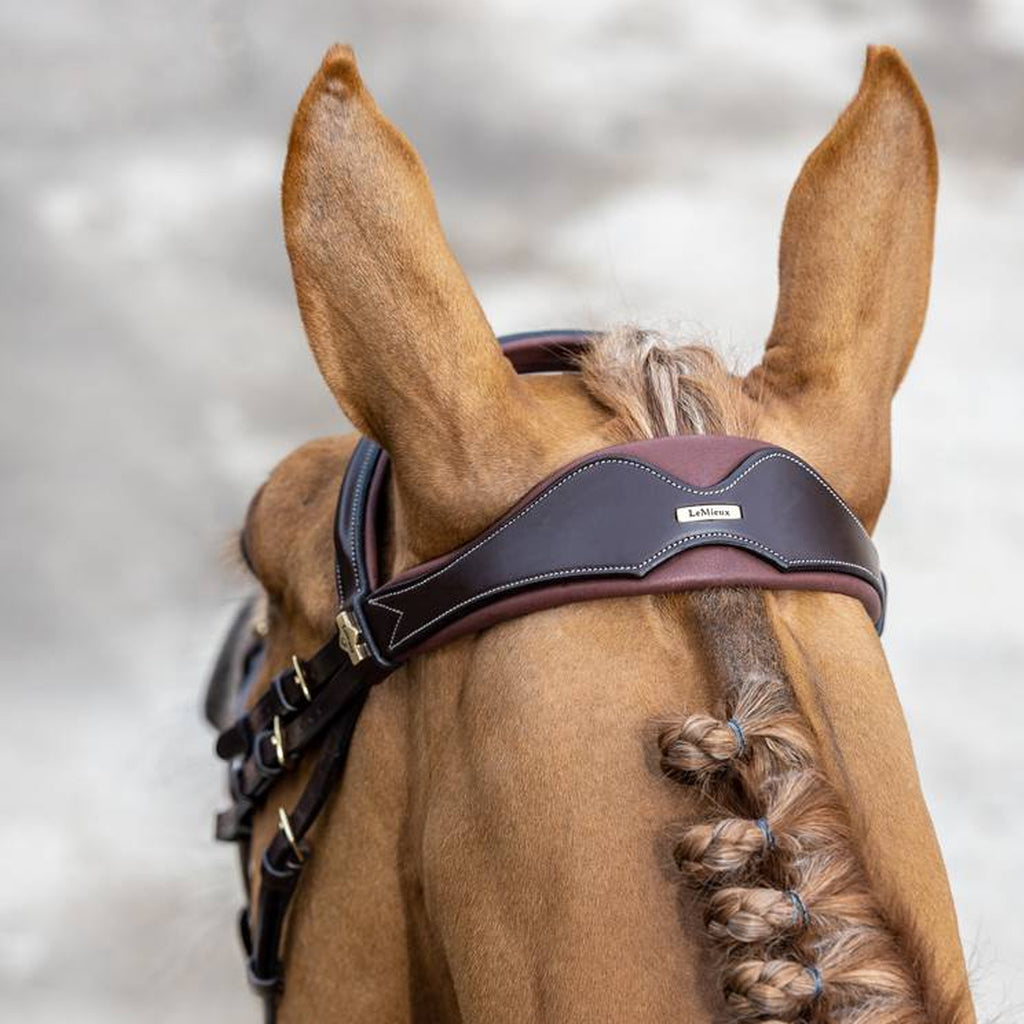 LeMieux Kudos Competition Flash Bridle - Havana