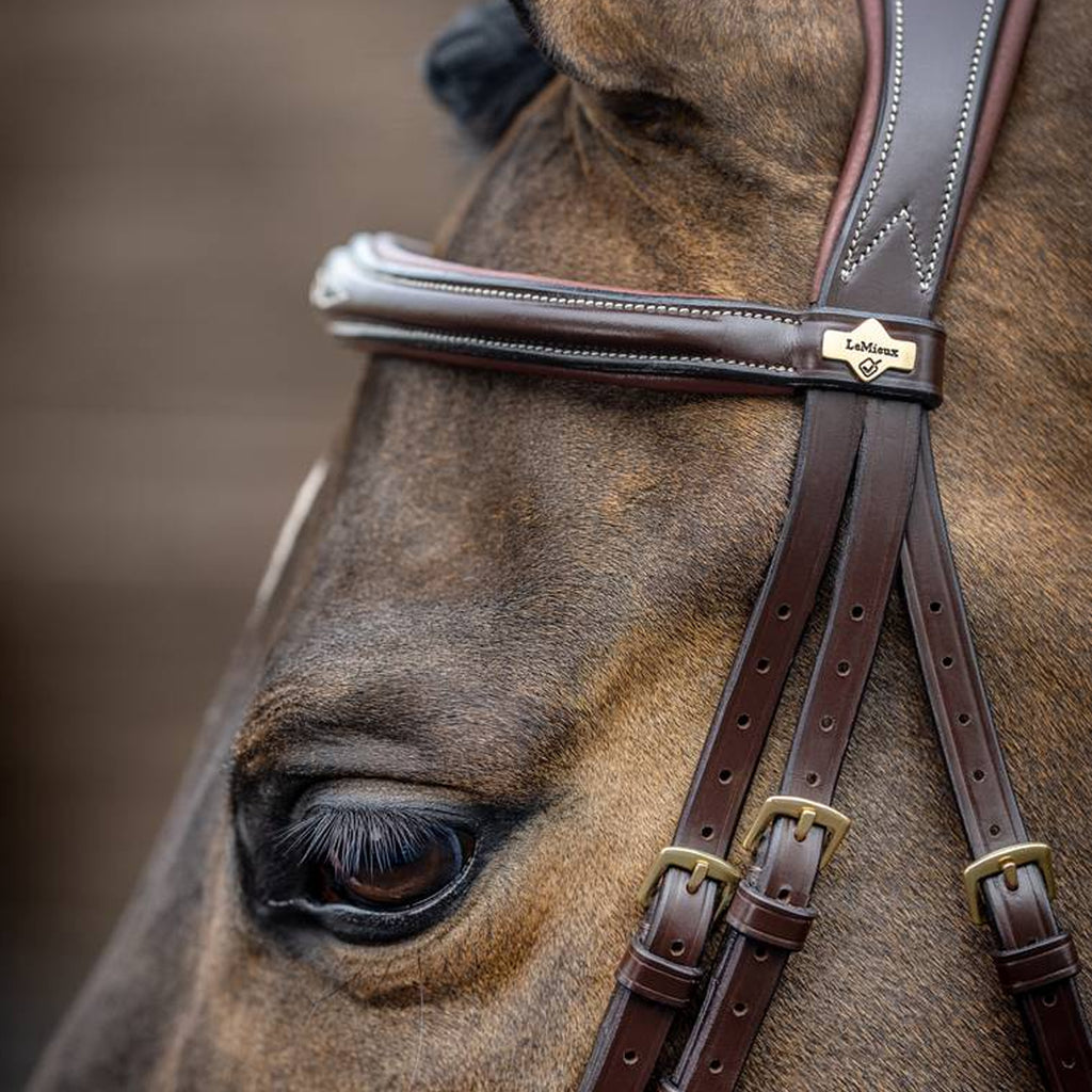 LeMieux Kudos Competition Flash Bridle - Havana