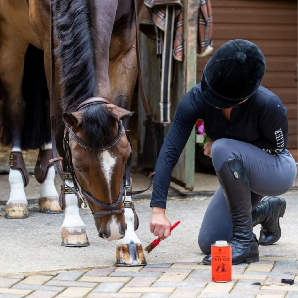 Carr Day Martin Vanner and Prest Hoof Oil
