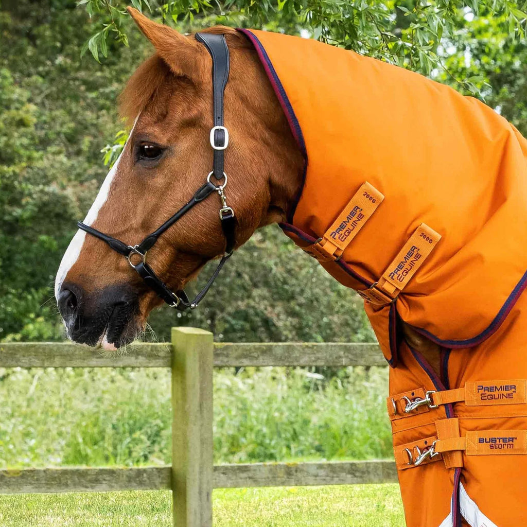 Premier Equine Buster Storm 200g Combo Turnout Rug with Classic Neck - Burnt Orange