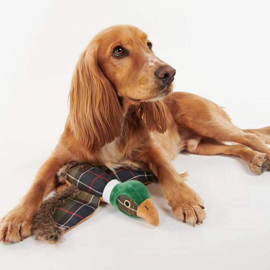 Barbour Pheasant Dog Toy