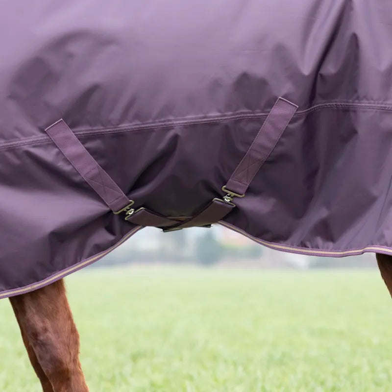 Shires Typhoon 100 Turnout Rug - Black Cherry