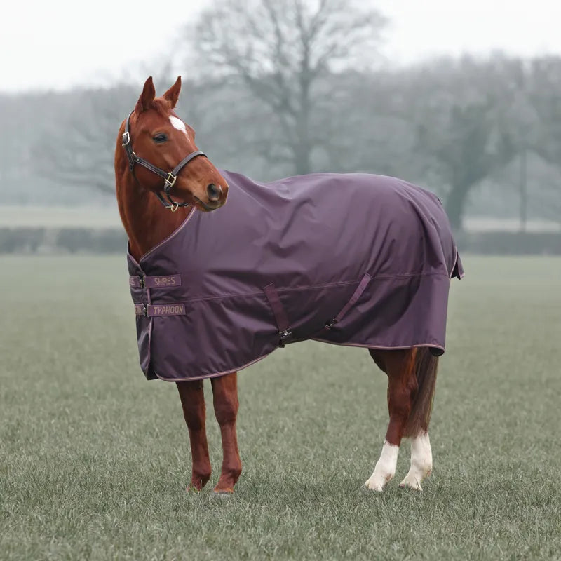 Shires Typhoon 100 Turnout Rug - Black Cherry