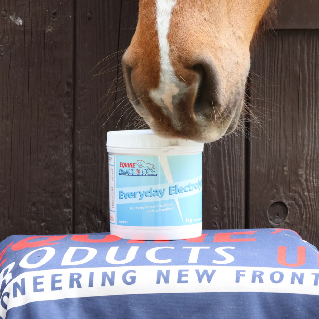 Equine Products UK Everyday Electrolytes - 1kg
