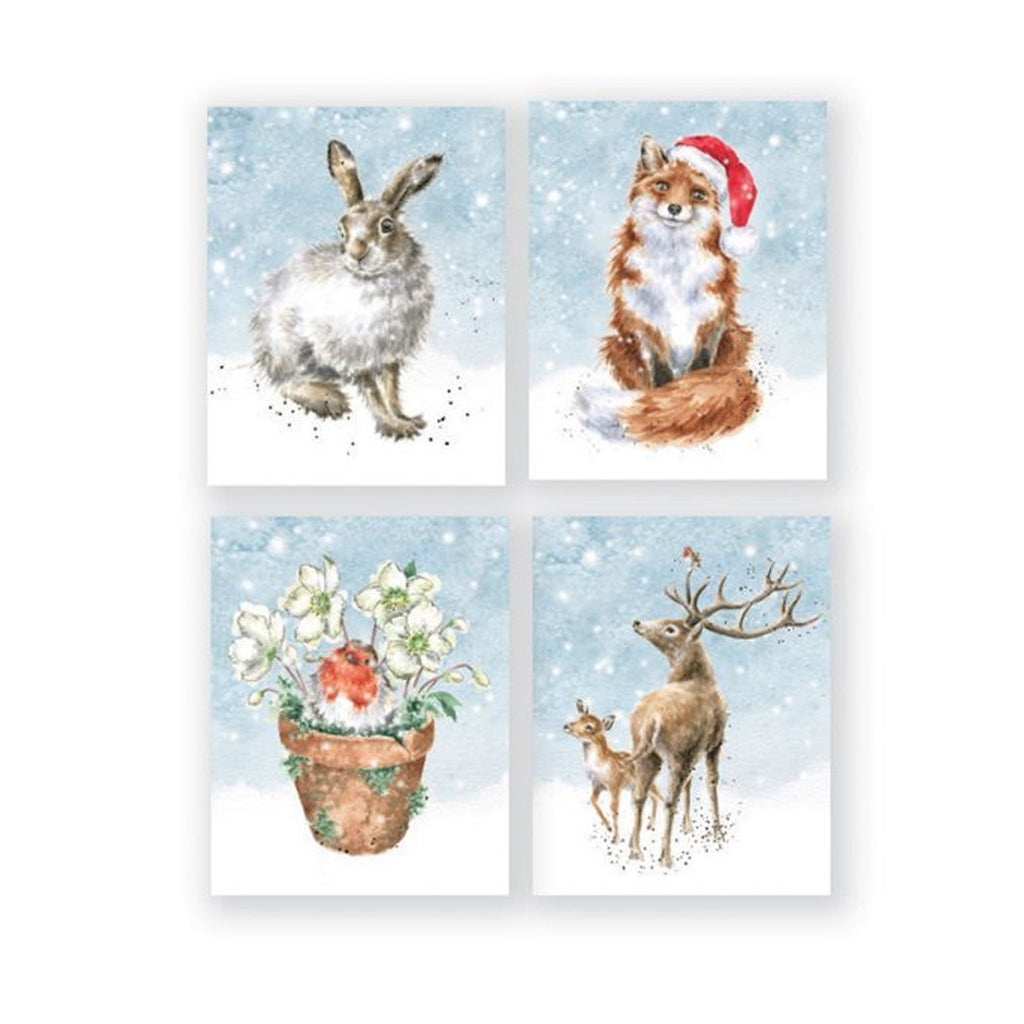 Wrendale Fox Charity Mini Boxed Card - 16 PK