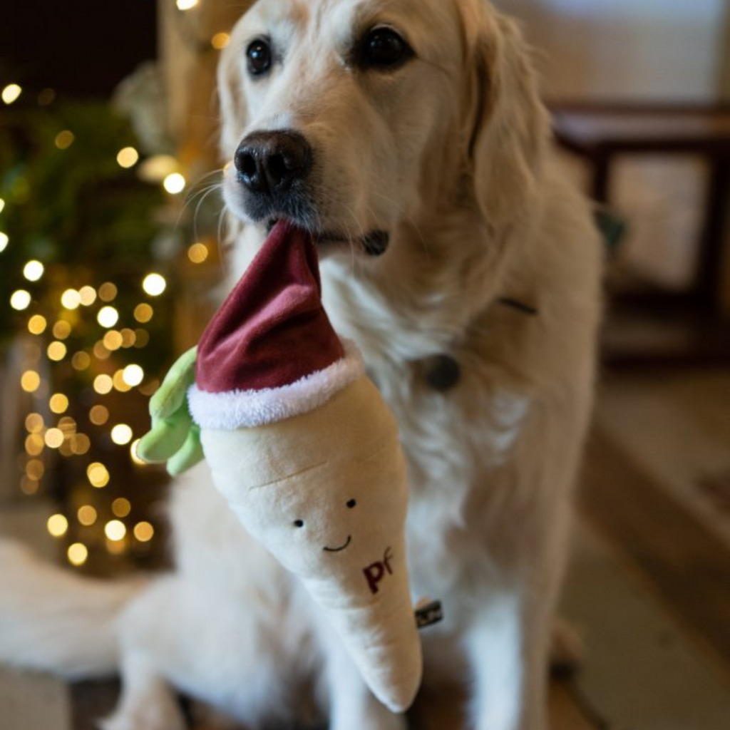 Petface Peter Parsnip Plush Christmas Dog Toy