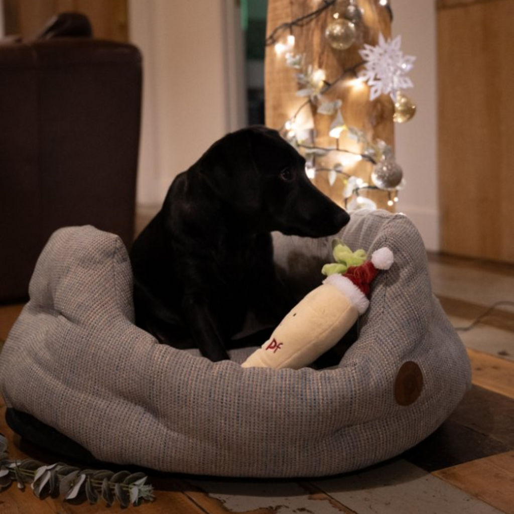 Petface Peter Parsnip Plush Christmas Dog Toy