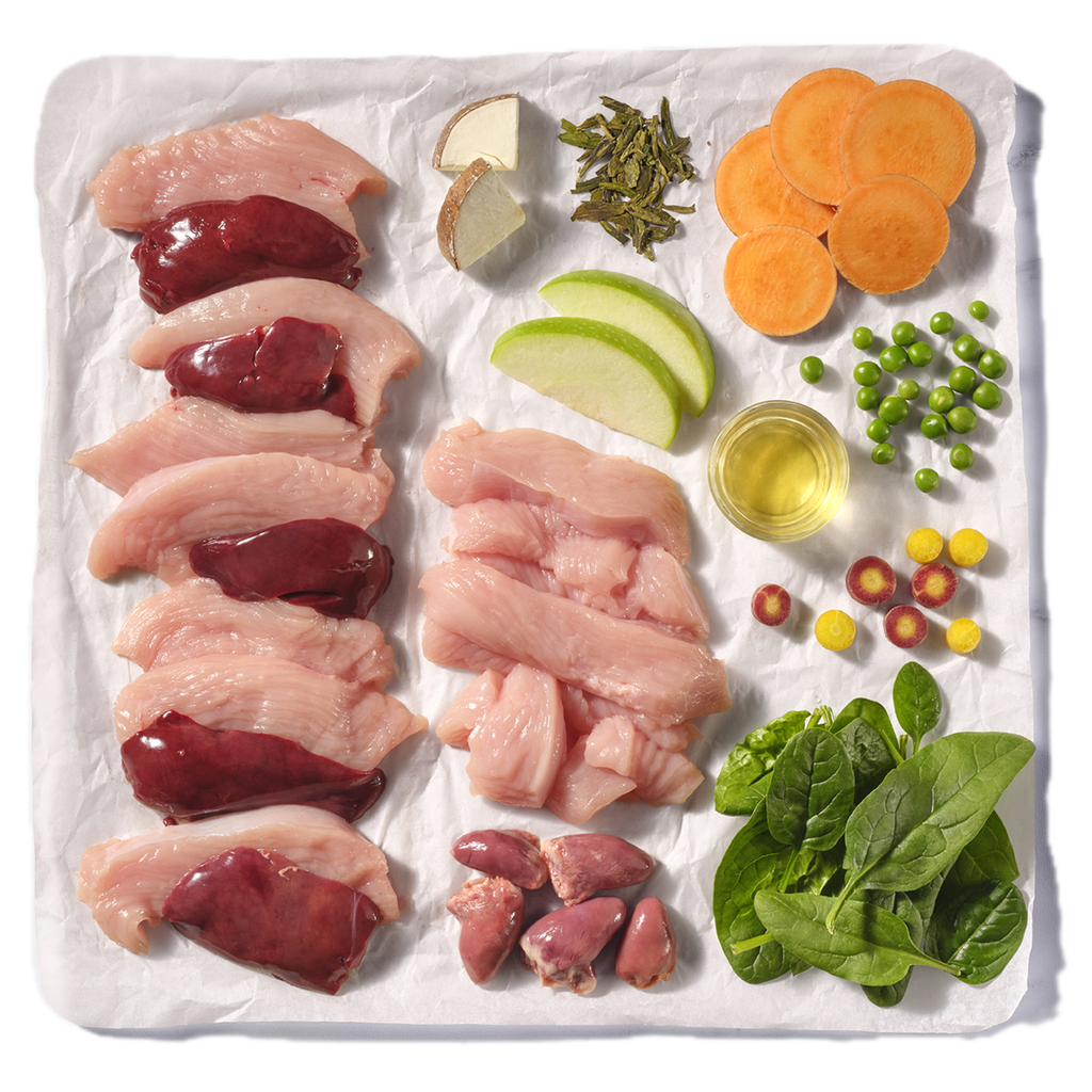 Natures Menu Complete & Balanced Turkey Block - 500g
