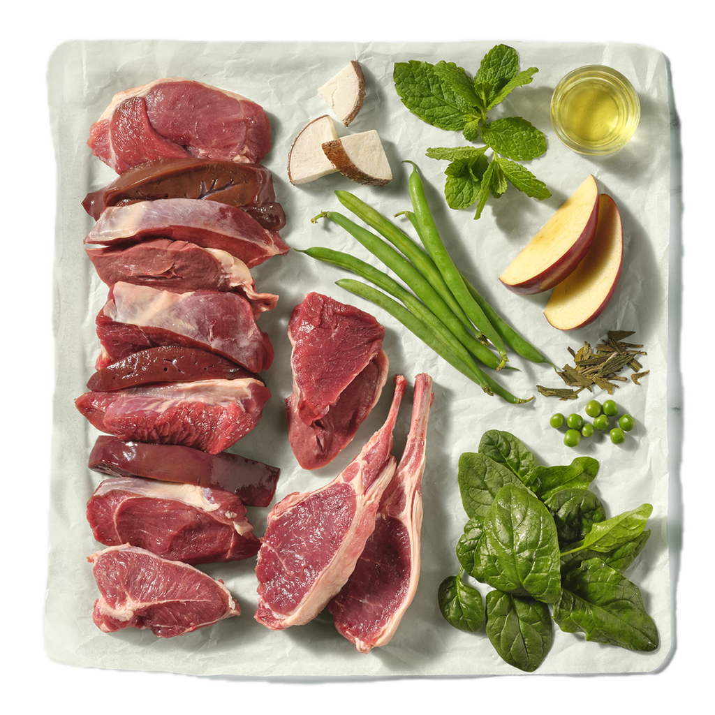 Natures Menu Complete & Balanced Lamb Block - 500g