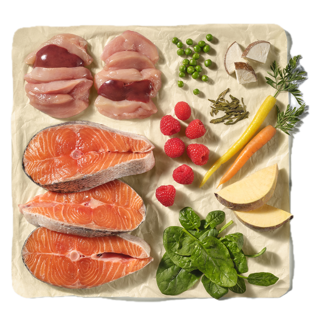 Natures Menu Complete & Balanced Salmon & Chicken Block - 500g