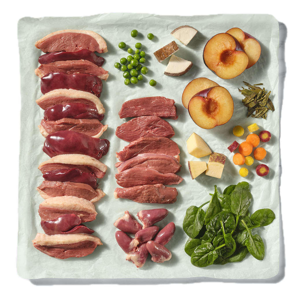 Natures Menu Complete & Balanced Duck Blocks - 500g