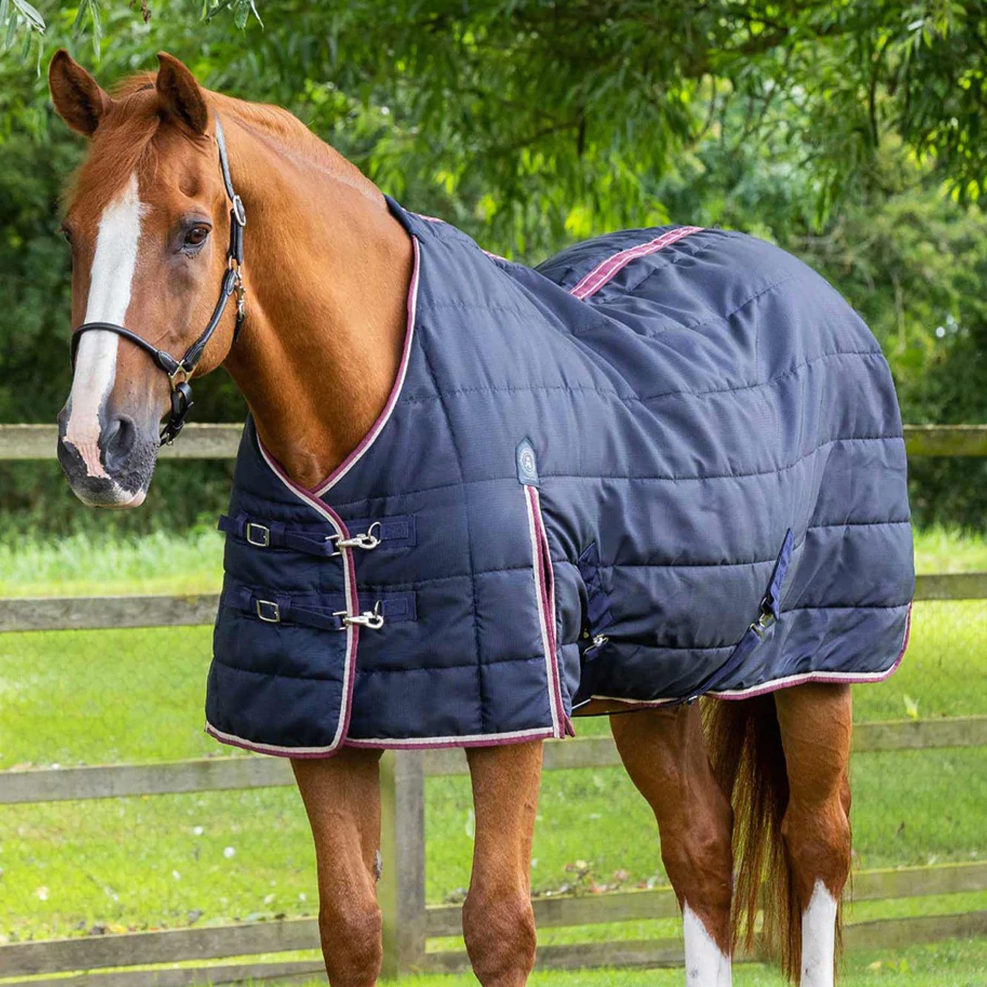 Premier Equine Garissa 100g Stable Rug - Navy - R&R Country