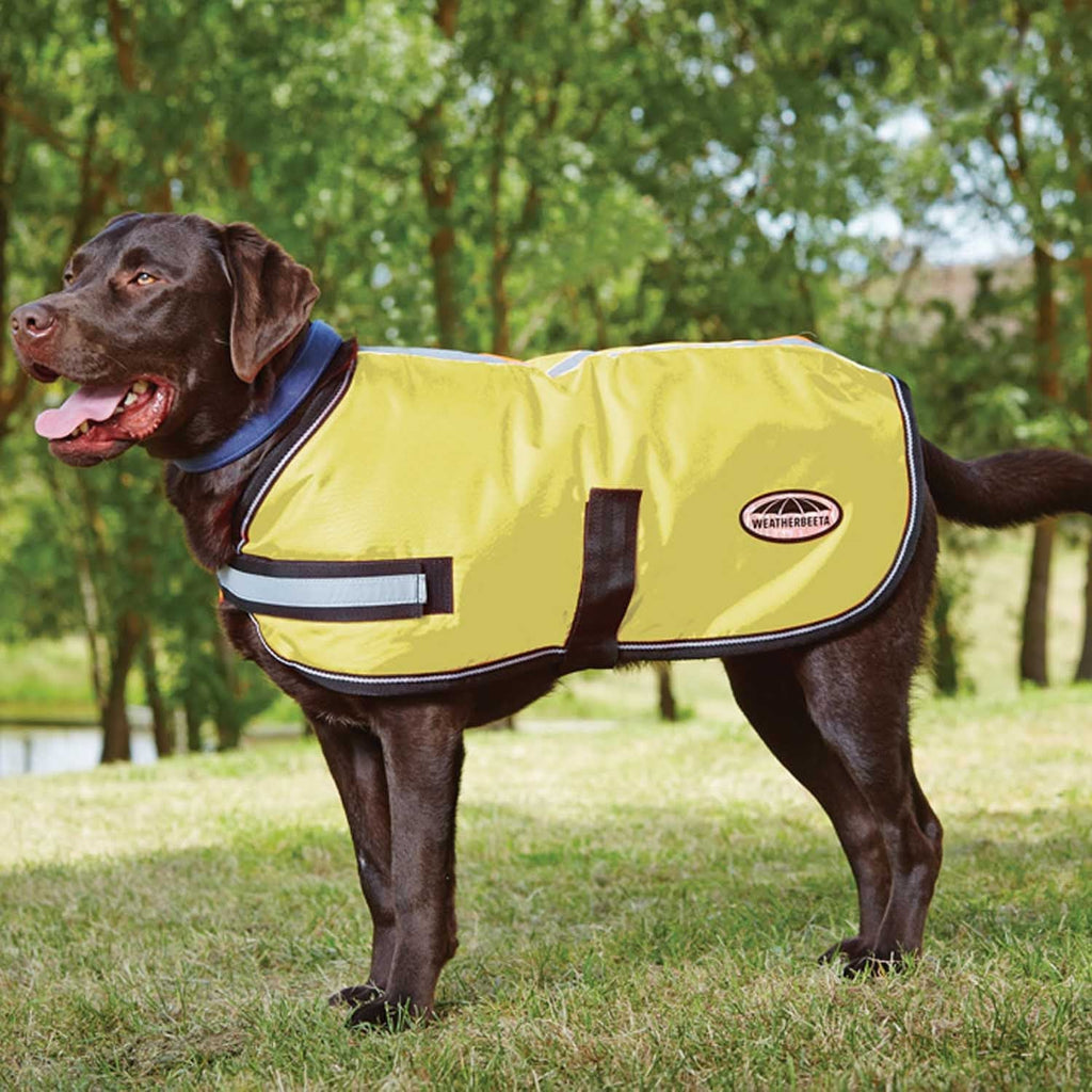 WeatherBeeta Reflective Dog Rug - Yellow