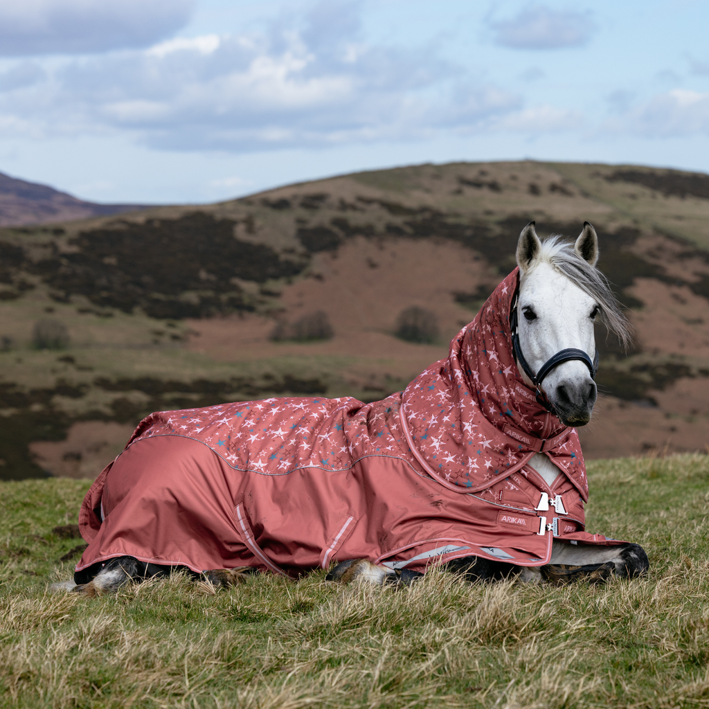 LeMieux Arika Star Turnout Rug 0g - Spiced Earth