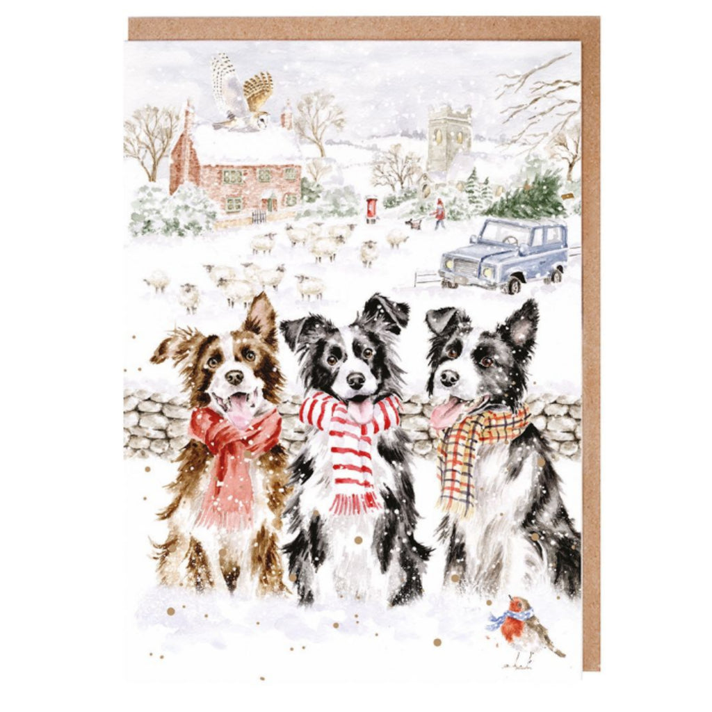 Wrendale While Shepherds Watch Notecard Pack