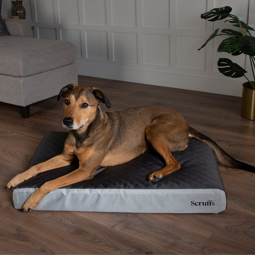 Scruffs ArmourDillo Orthopaedic Dog Bed - Grey
