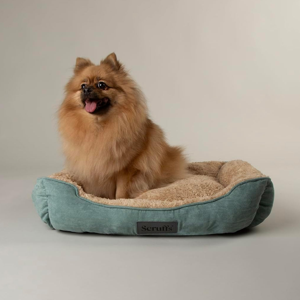 Scruffs Cosy Box Bed