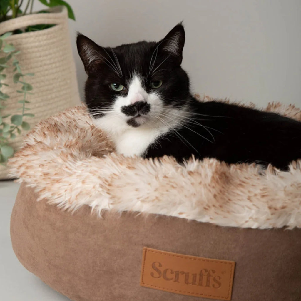 Scruffs Slumber Cat Bed