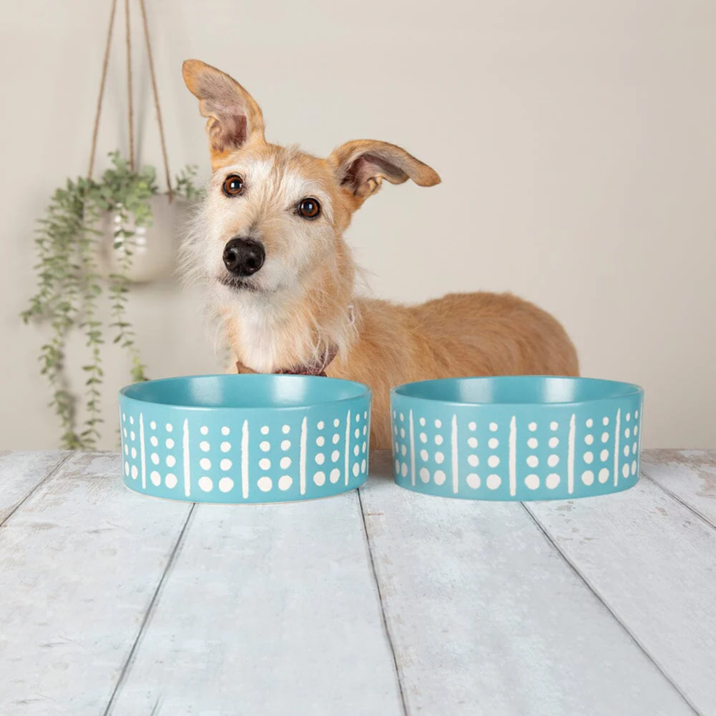 Scruffs Aztec Food Bowl - Turquoise