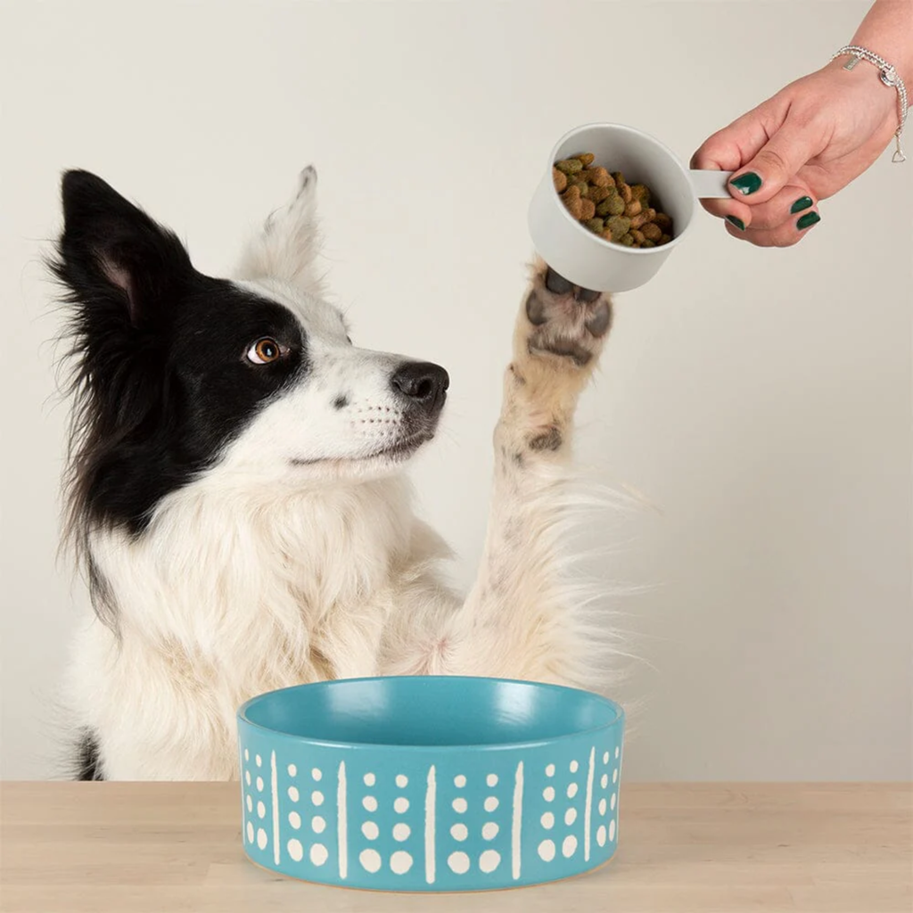 Scruffs Aztec Food Bowl - Turquoise