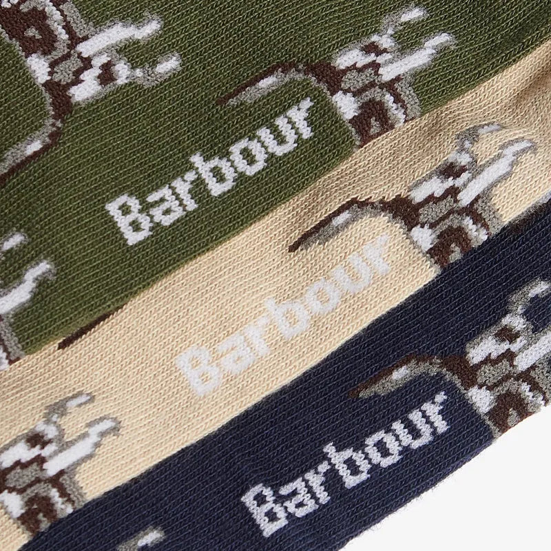 Barbour Pointer Dog Socks Gift Box Forest Mist
