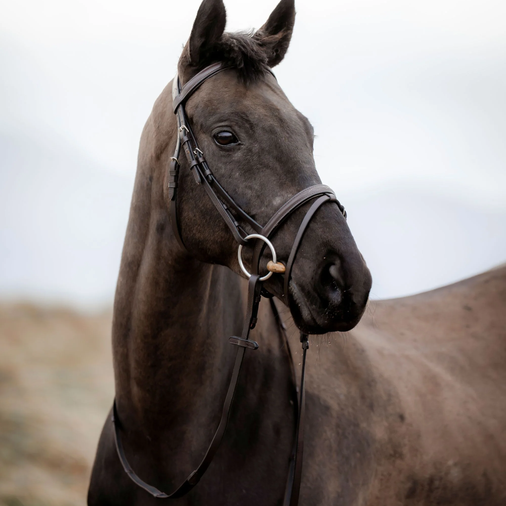 Cameo EasyStride Bridle With Reins - Dark Brown