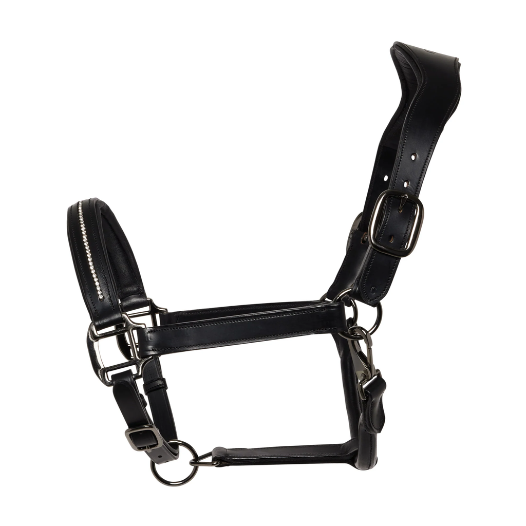Cameo Competition Leather Headcollar - Black