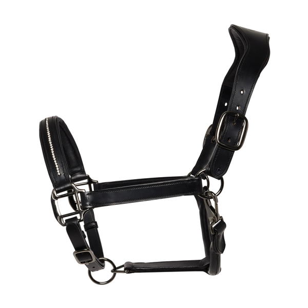 Cameo Competition Leather Headcollar - Black