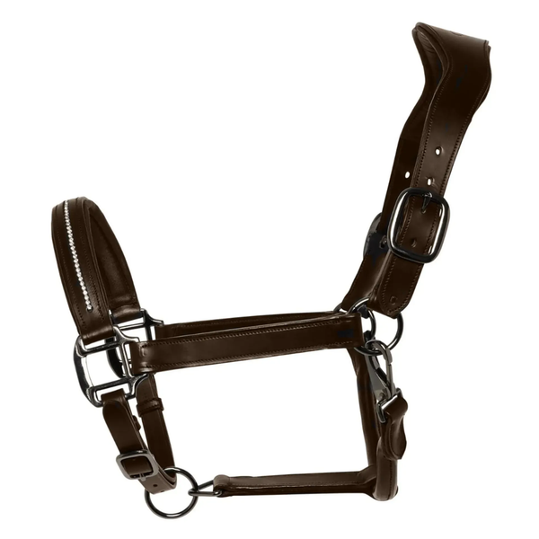 Cameo Competition Leather Headcollar - Brown