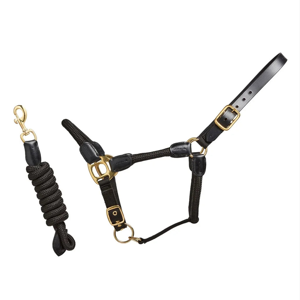 Cameo Rope Leather Halter & Rope - Black