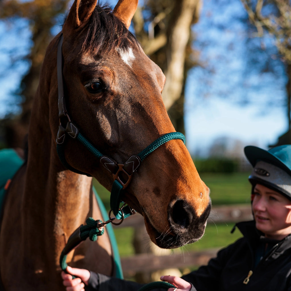 Cameo Rope Leather Headcollar & Leadrope - Evergreen