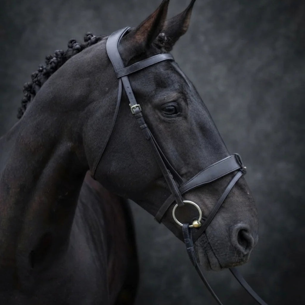 Cameo ComfortPro Show Bridle with Inside Grip Reins - Black