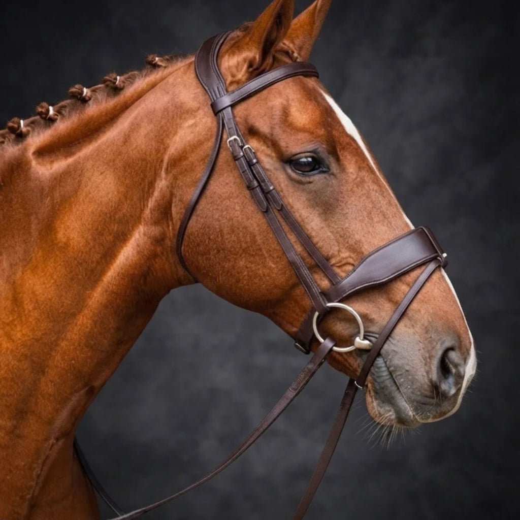Cameo ComfortPro Show Bridle with Inside Grip Reins - Dark Brown