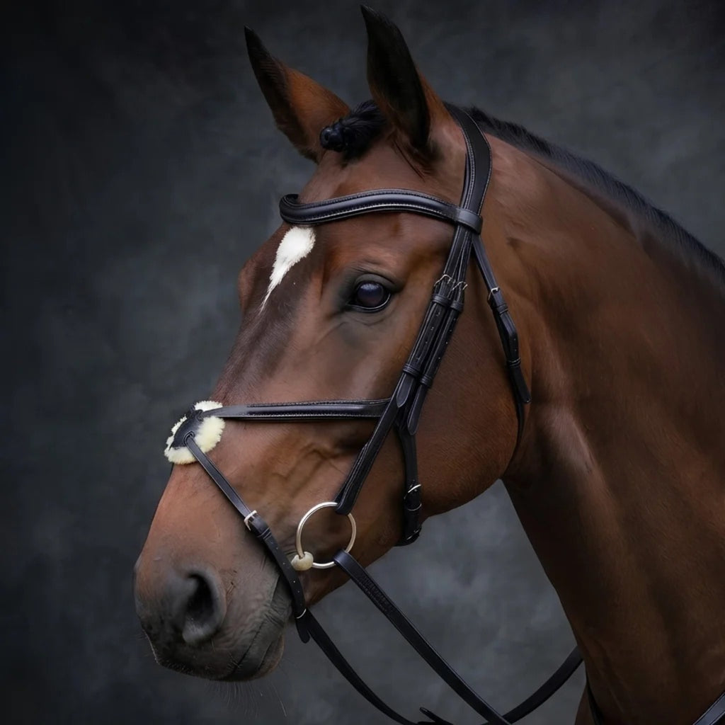Cameo ComfortPro Grackle Bridle with Rubber Grip Reins - Black