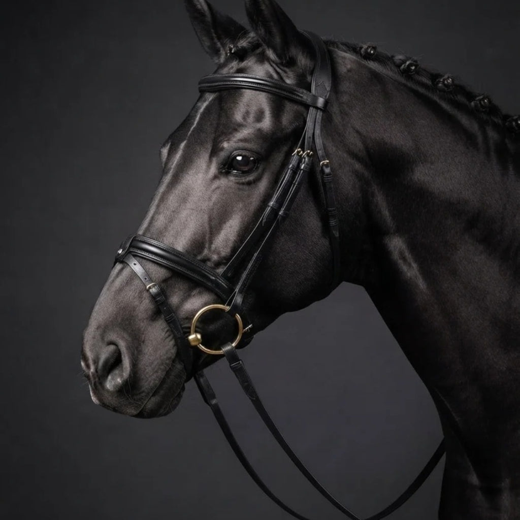 Cameo ComfortPro Flash Bridle with Rubber Grip Reins - Black