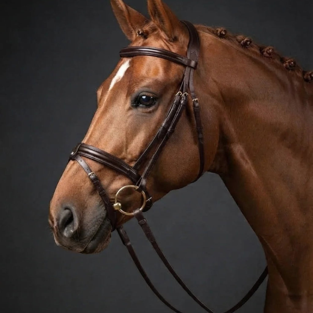 Cameo ComfortPro Flash Bridle with Rubber Grip Reins - Dark Brown