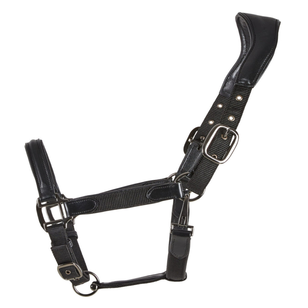 Cameo ComfortPro Headcollar - Black