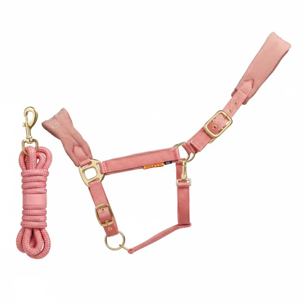 Cameo Suede Elite Headcollar & Leadrope - Dusky Pink
